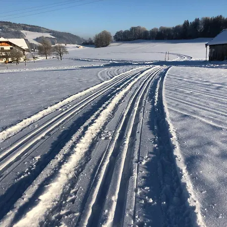 Biohof-feichtinger Apartment Zell am Moos