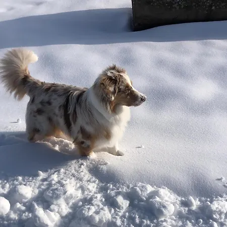 Apartment Biohof-feichtinger *
