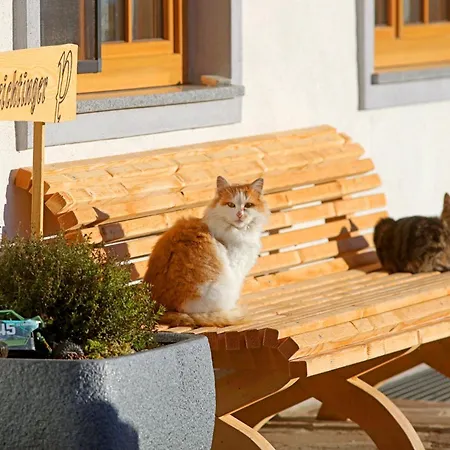 Biohof-feichtinger *