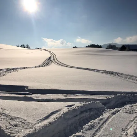 Apartman Biohof-feichtinger Zell am Moos