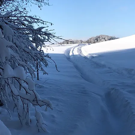 Biohof-feichtinger * Zell am Moos
