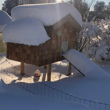 Apartman Biohof-feichtinger