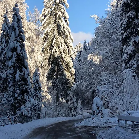 Biohof-feichtinger Apartman *