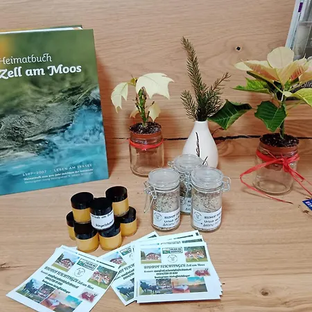 Biohof-feichtinger Apartment