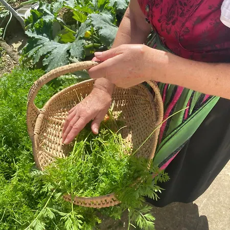 Biohof-feichtinger Apartman Zell am Moos