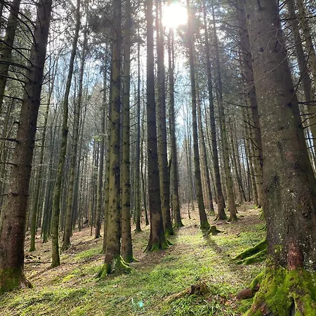 Biohof-feichtinger Apartman