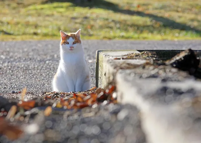 Biohof-feichtinger شقة