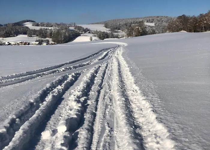 Biohof-feichtinger Apartment