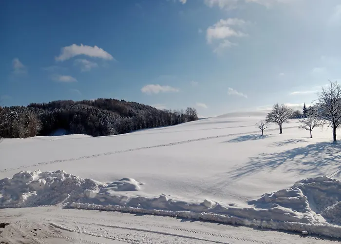 شقة Biohof-feichtinger