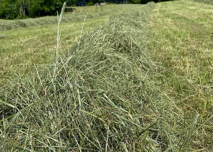 Biohof-feichtinger شقة