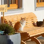 Biohof-feichtinger *