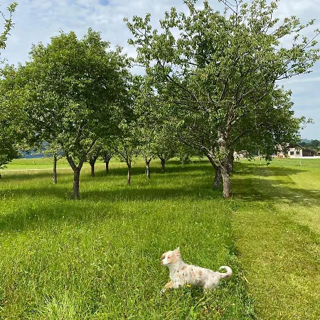 Biohof-feichtinger
