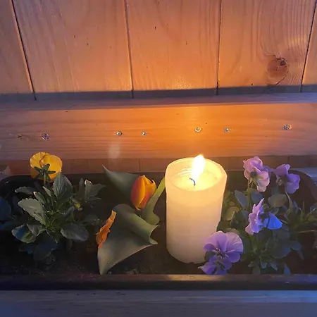 Appartement Biohof-feichtinger *