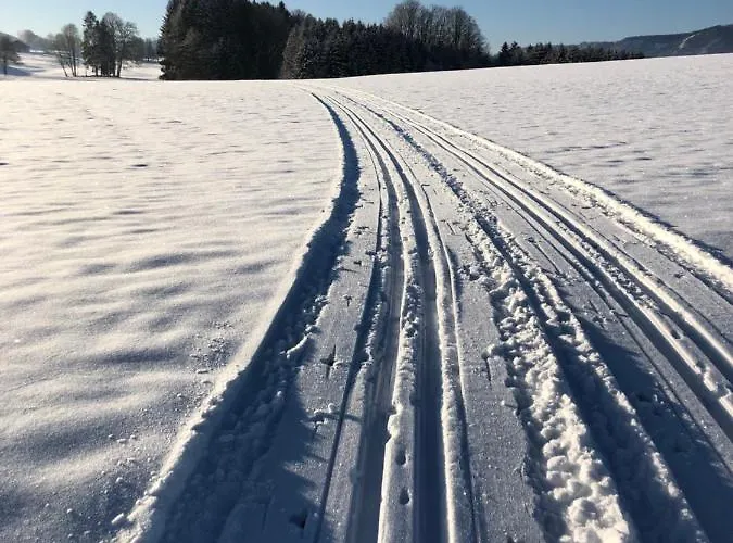 Appartement Biohof-feichtinger Zell am Moos
