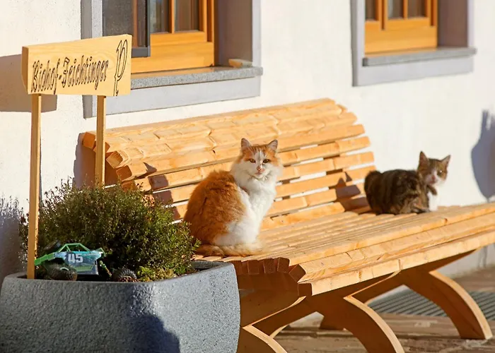 Biohof-feichtinger *