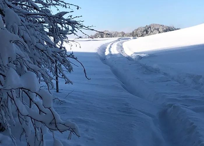 Biohof-feichtinger * Zell am Moos
