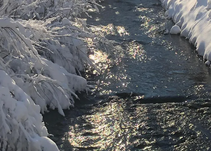 Biohof-feichtinger Zell am Moos