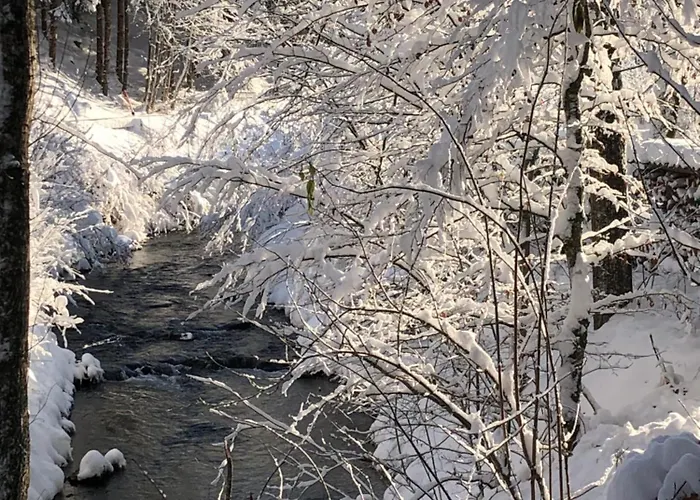 Appartement Biohof-feichtinger Zell am Moos