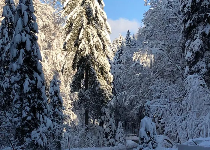 Biohof-feichtinger Appartement *