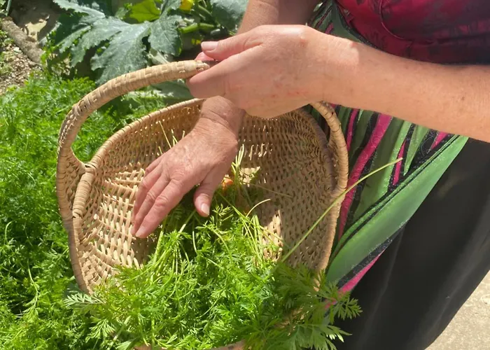 Biohof-feichtinger Appartement Zell am Moos