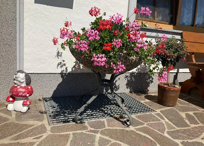 Biohof-feichtinger Zell am Moos