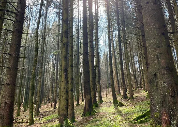 Biohof-feichtinger Appartement