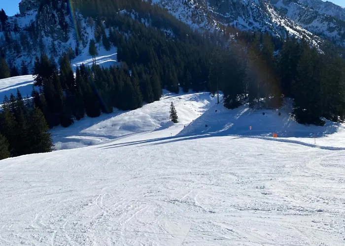 Biohof-feichtinger Appartement