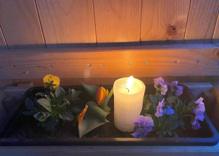 Appartement Biohof-feichtinger *